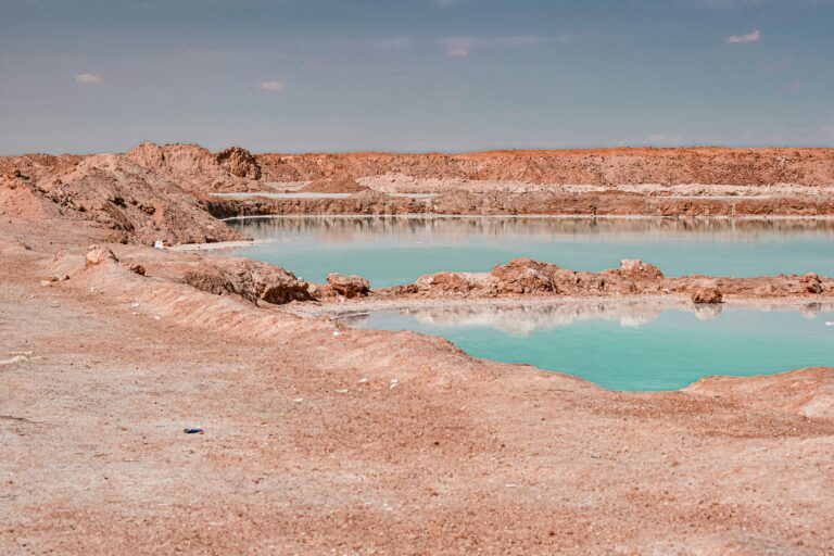 Donec Adipiscing Tristique Risus Nec Feugiat Nourhan Sabek Ajy7WvfM2TA Unsplash 768x512