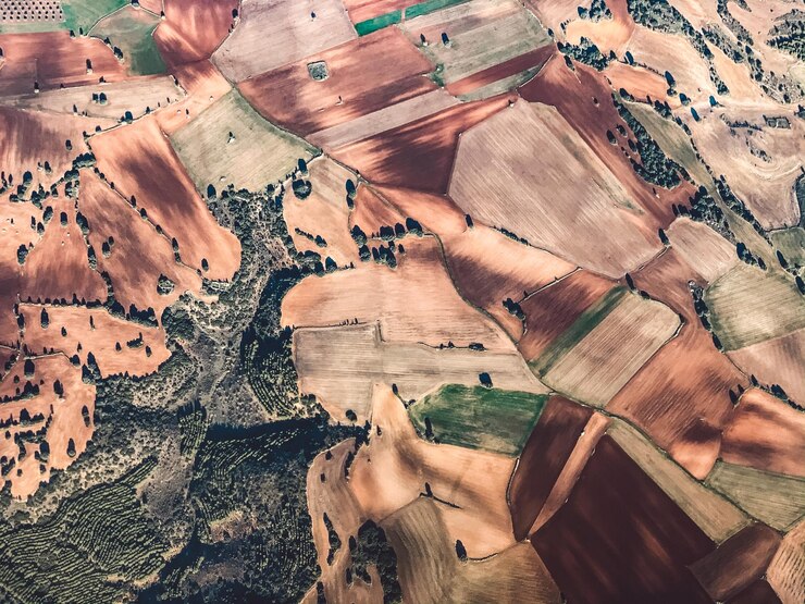 Environmental Baseline Studies high angle view beach 1048944 20741645