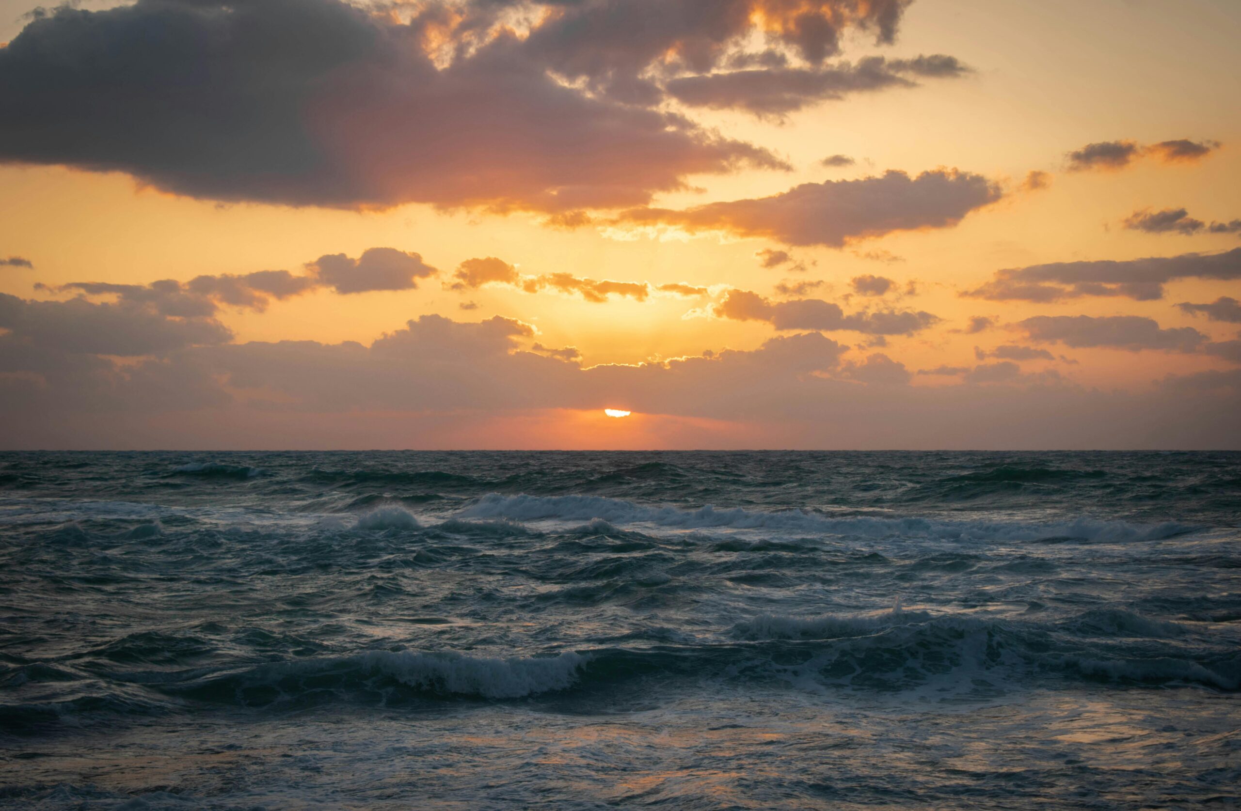 Contact Us Captivating sunrise over Alexandria