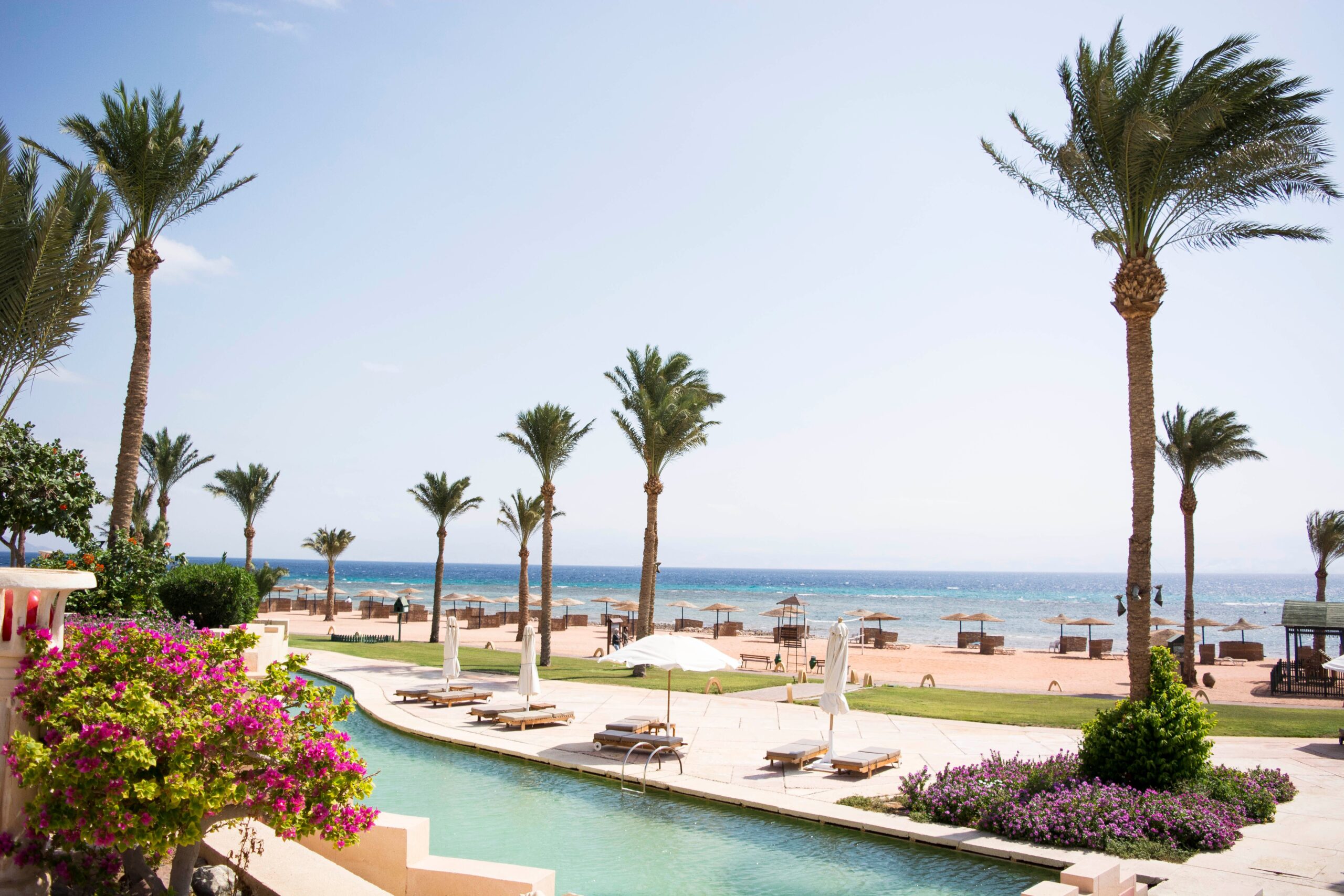 Technical Support for Integrating Environmental Practices in Hotel Operations Stunning seaside resort with palm trees and a swimming pool in Taba, Egypt.
